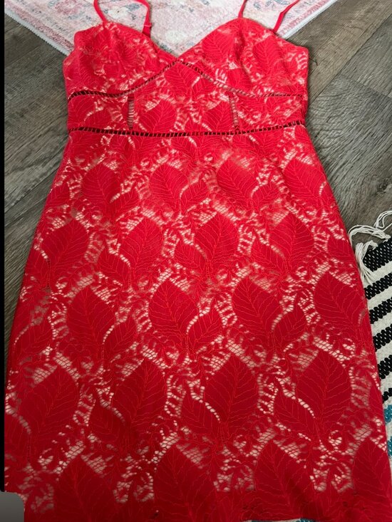 By the Way Revolve red lace mini dress
